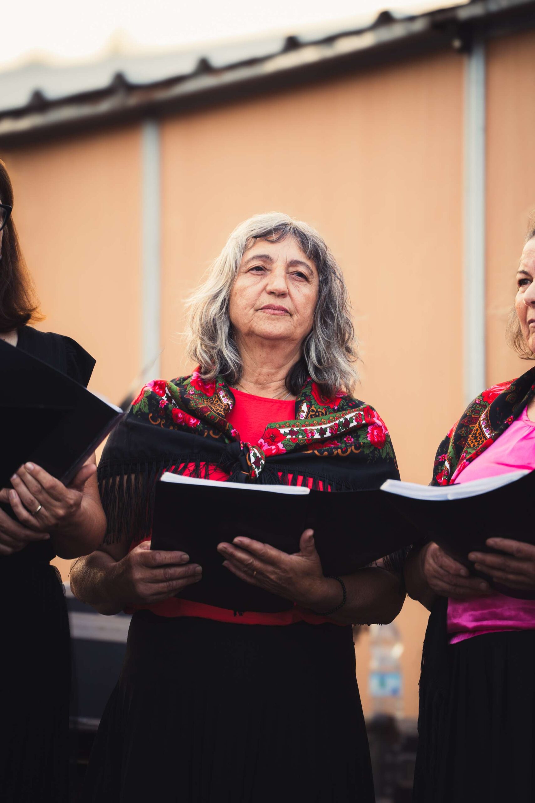 Fotografias do dia 29 JULHO