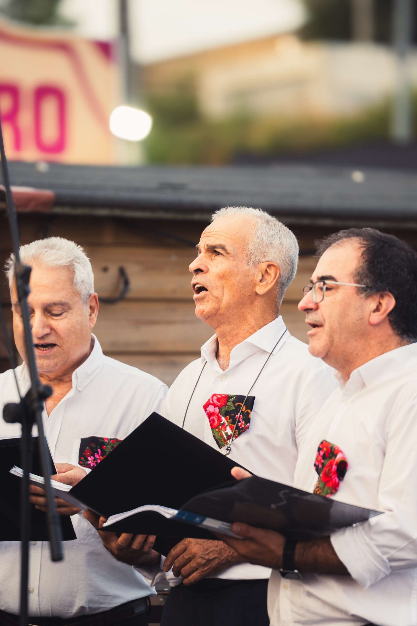 Fotografias do dia 29 JULHO