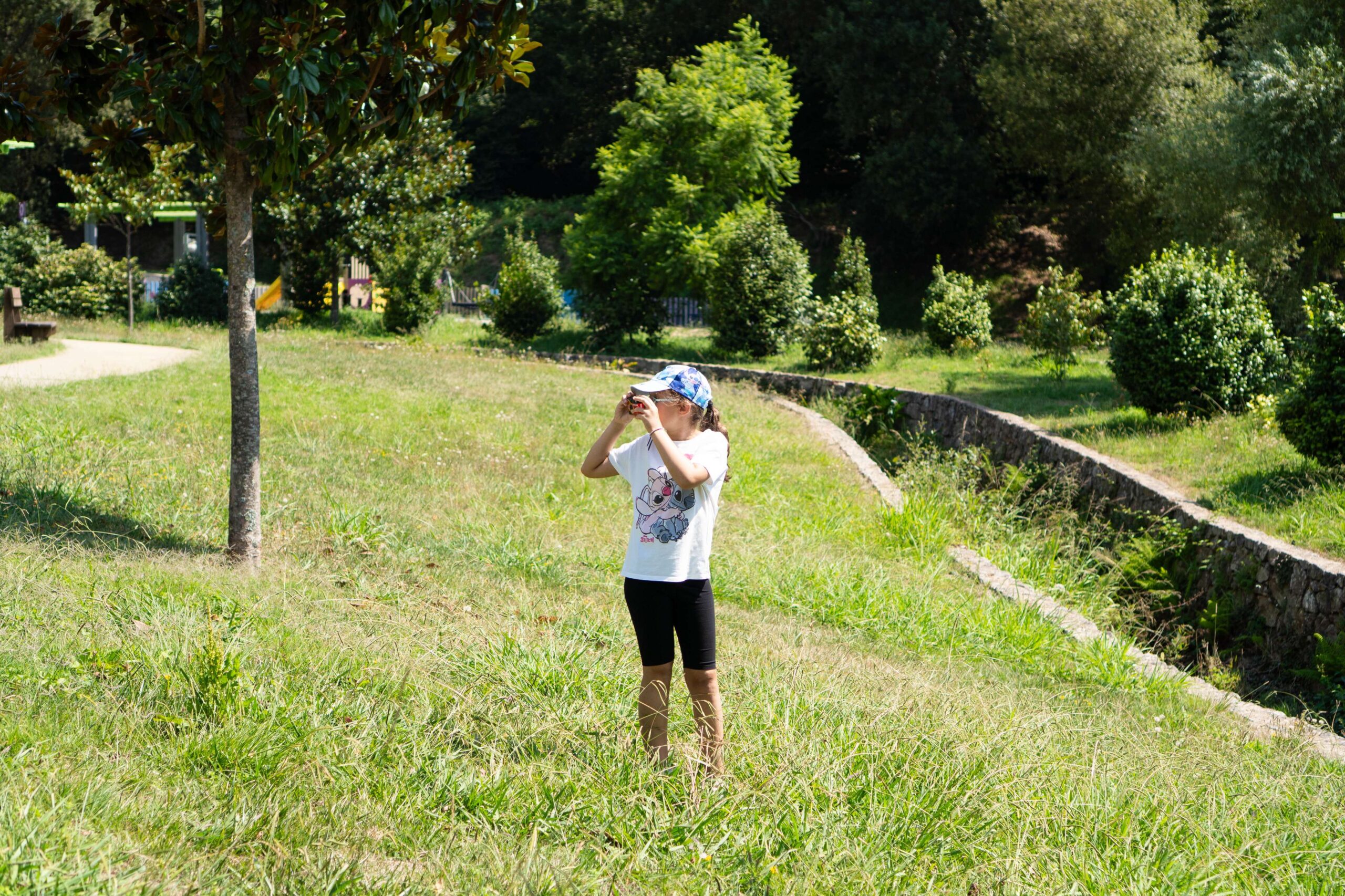 Fotografias do dia 
