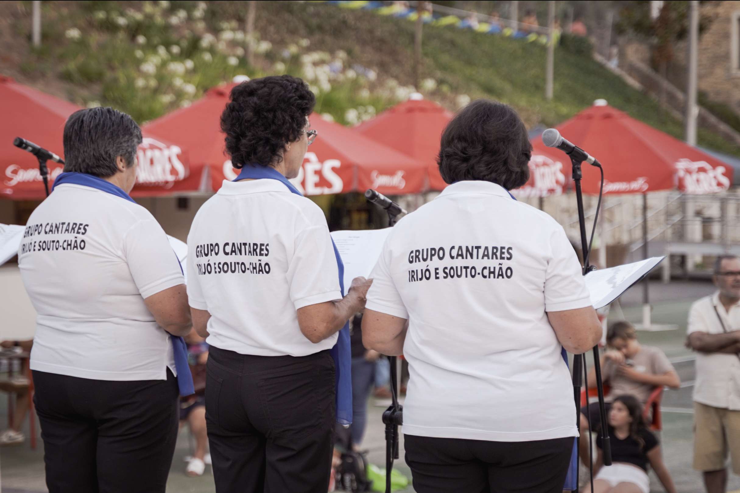 Fotografias do dia 