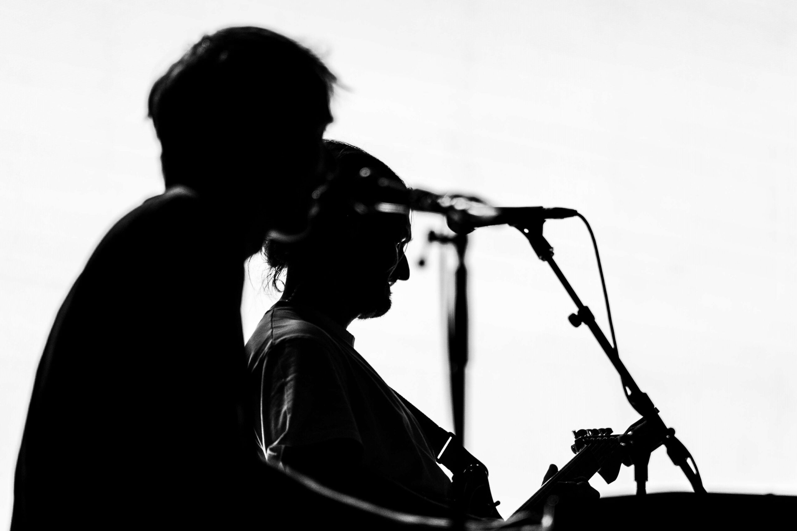 Fotografias do dia 