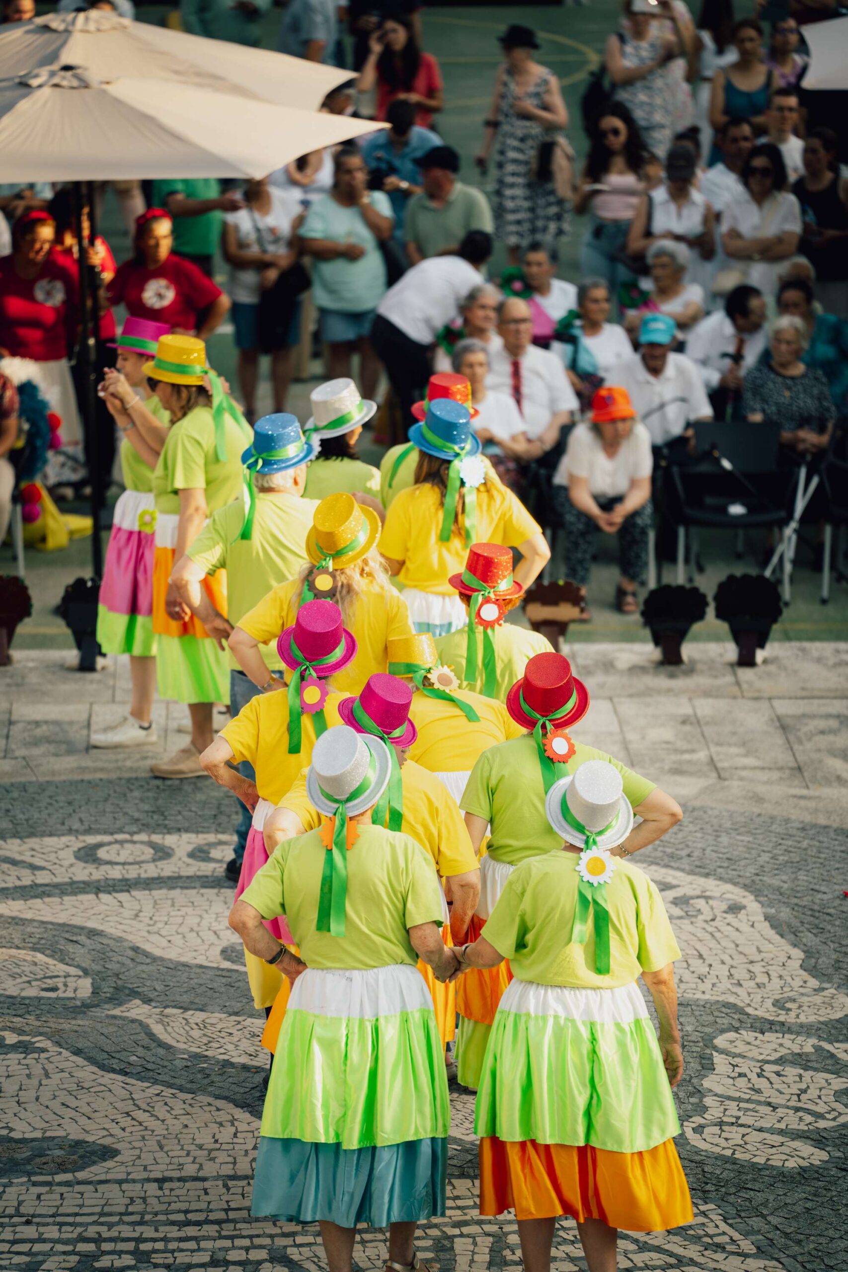 Fotografias do dia 28 JULHO