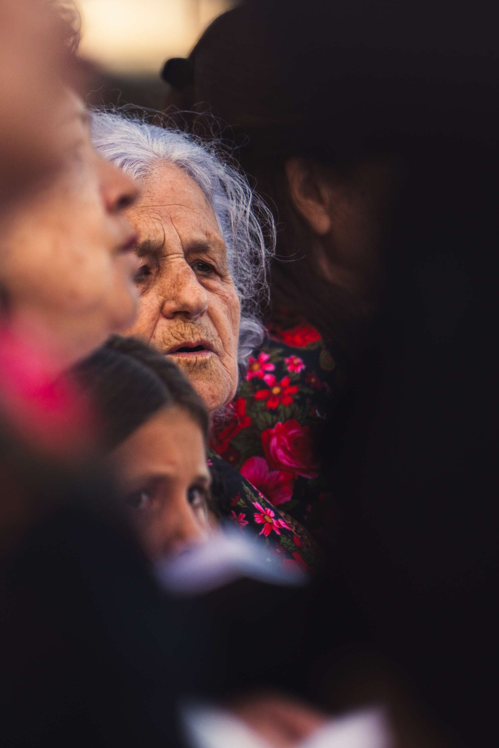 Fotografias do dia 29 JULHO