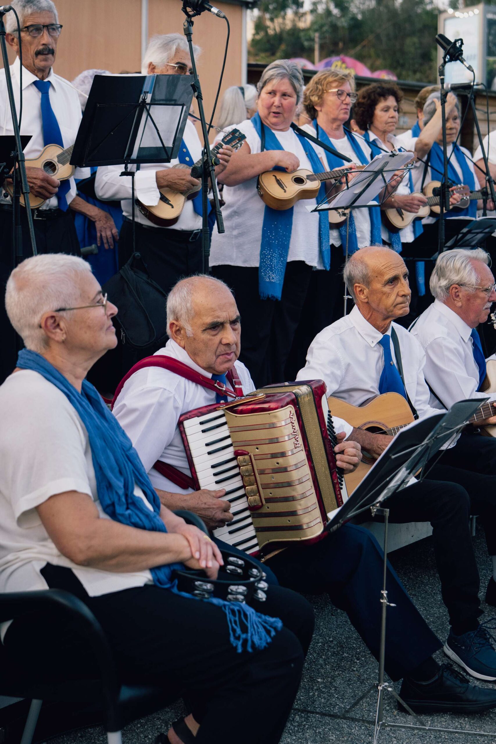 Fotografias do dia 28 JULHO