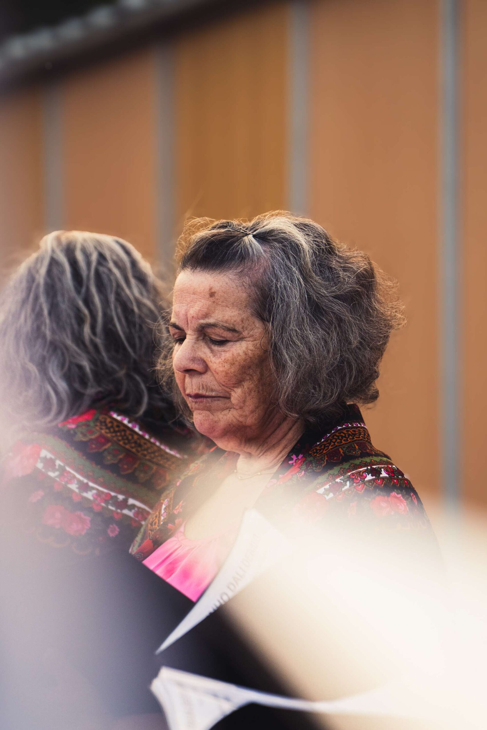 Fotografias do dia 29 JULHO