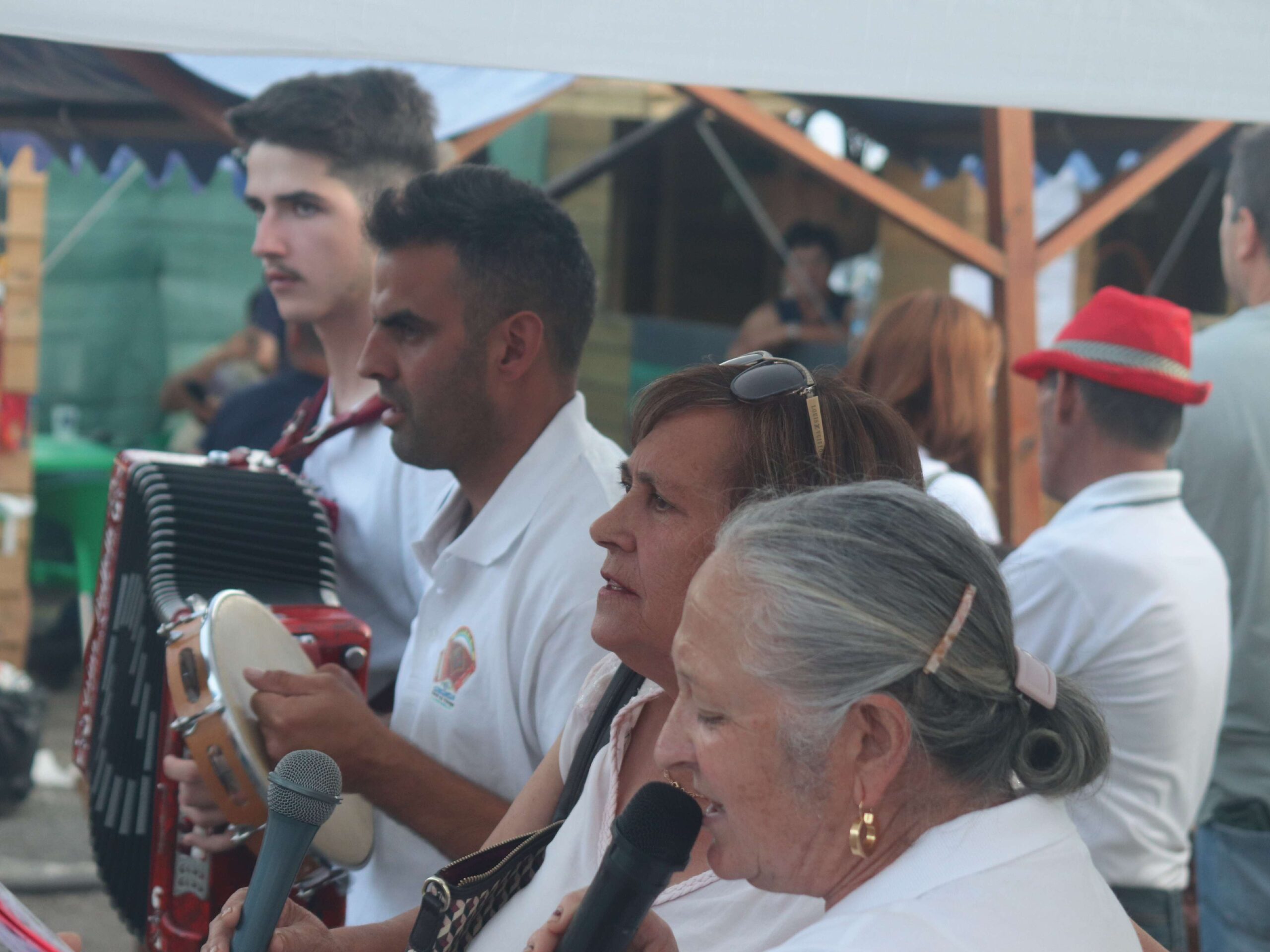 Fotografias do dia 