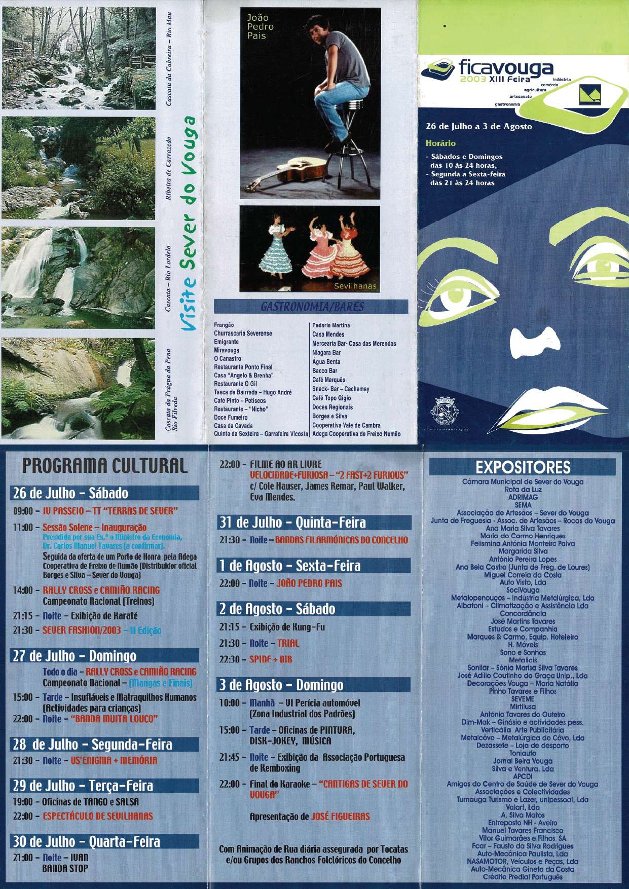 Cartaz de 2003