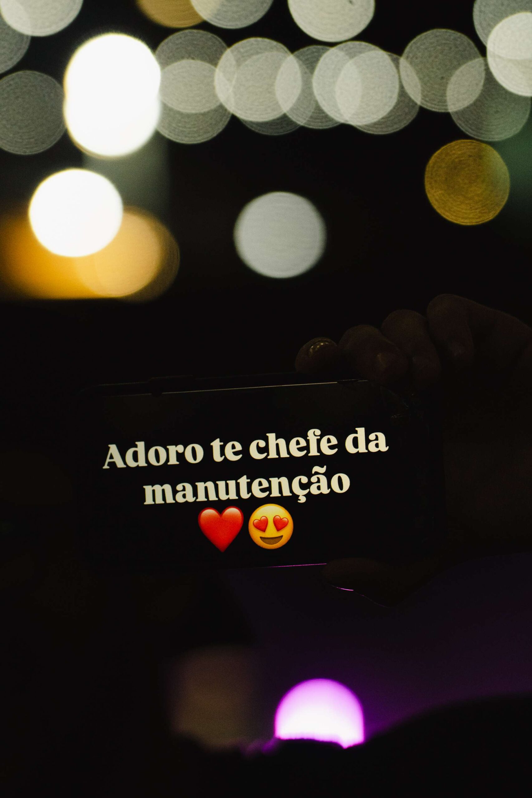 Fotografias do dia 01 AGOSTO