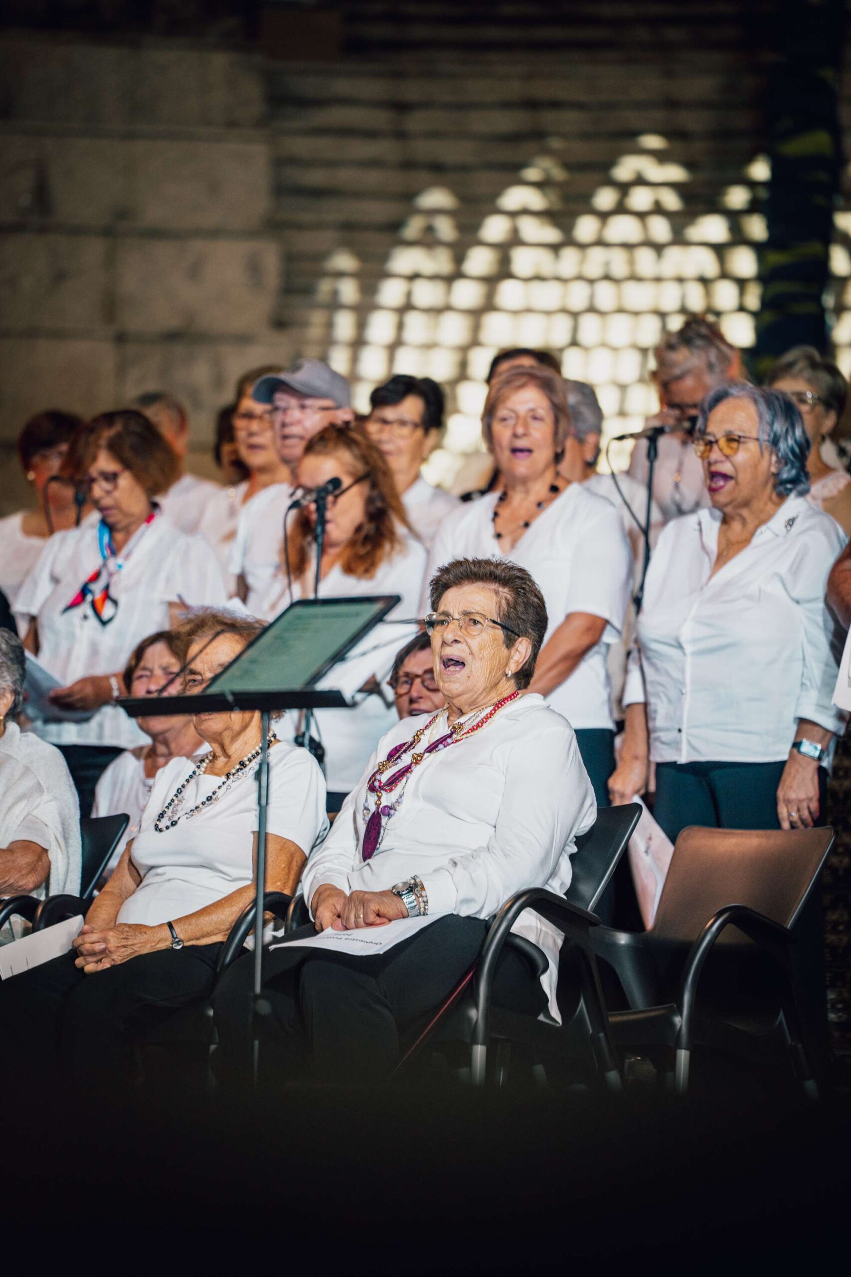 Fotografias do dia 31 JULHO