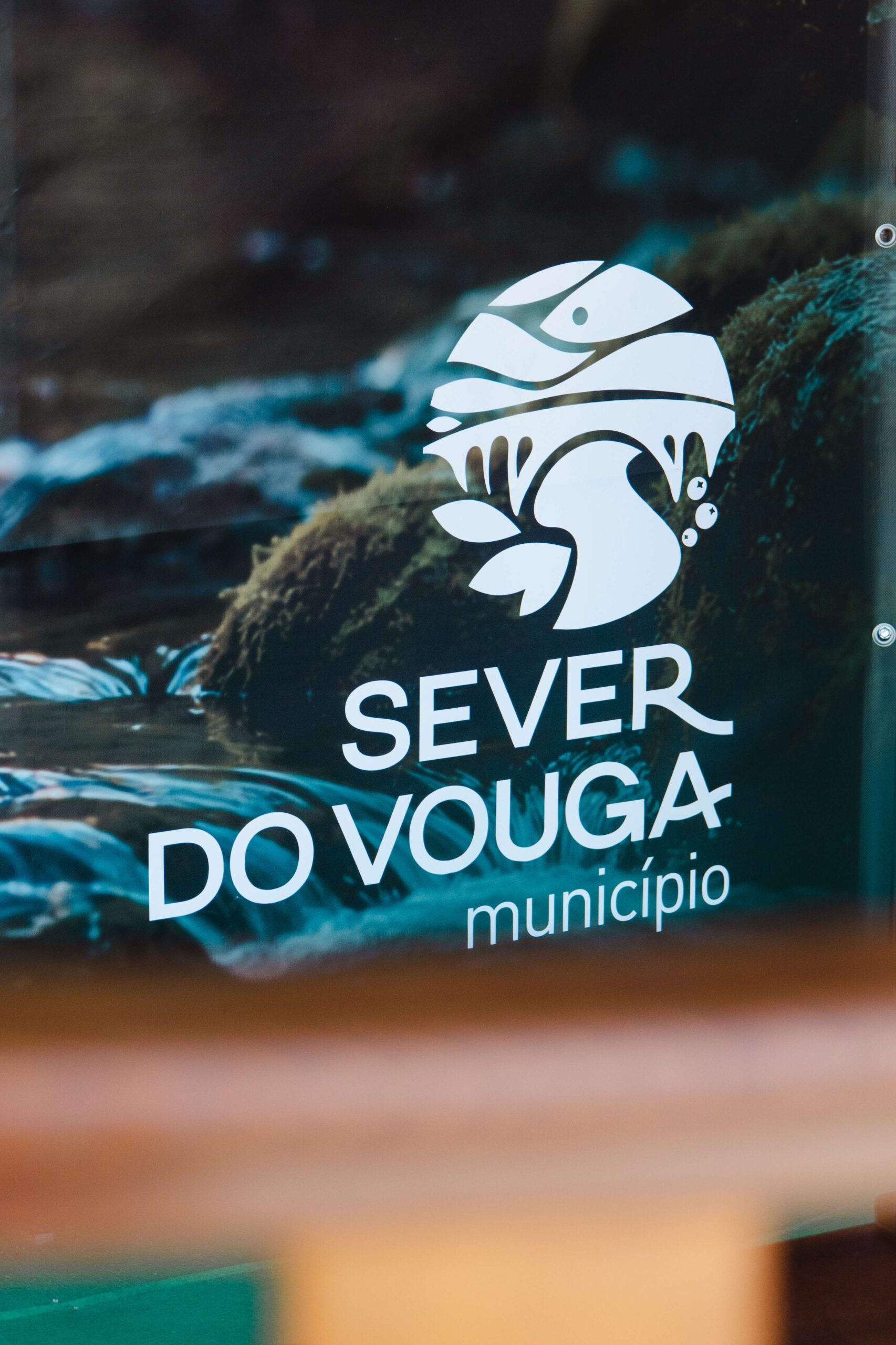 Fotografias do dia 02 AGOSTO